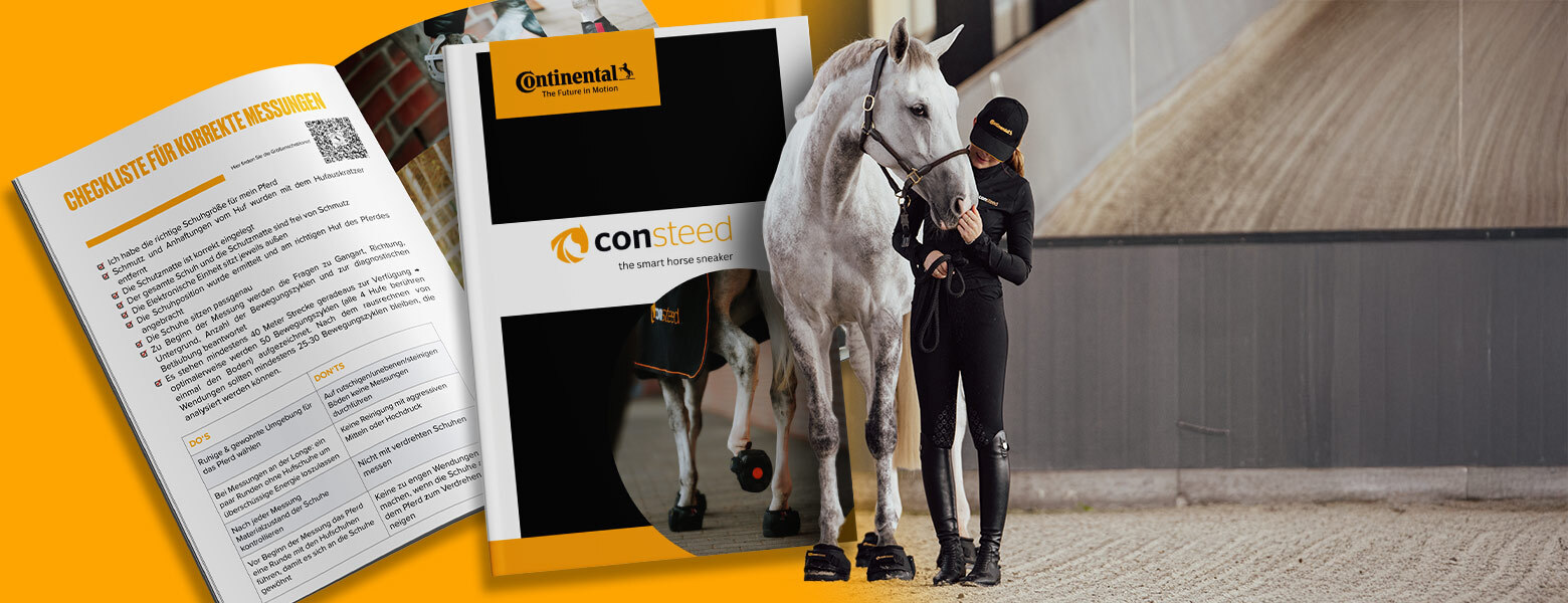 Bottom of the consteed smart horse shoe